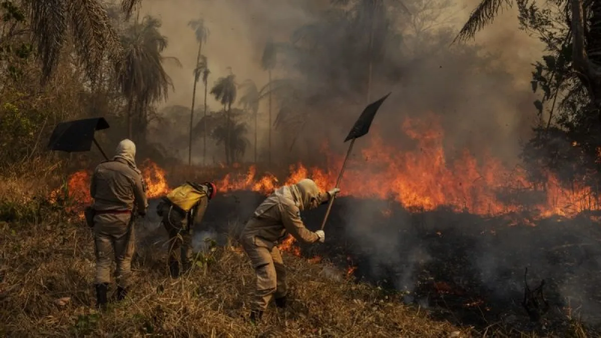 Brasil declaró estado de emergencia por incendios en El Pantanal