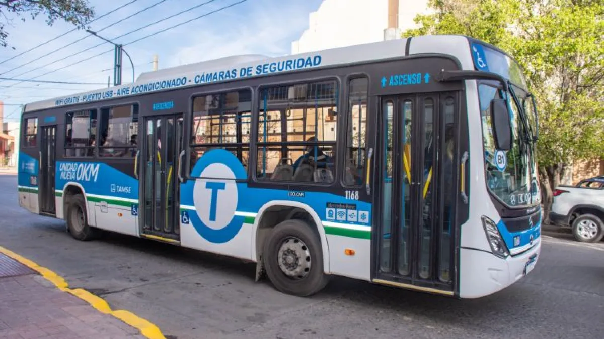 Tamse incorporó una nueva línea de colectivos: qué recorrido comprende