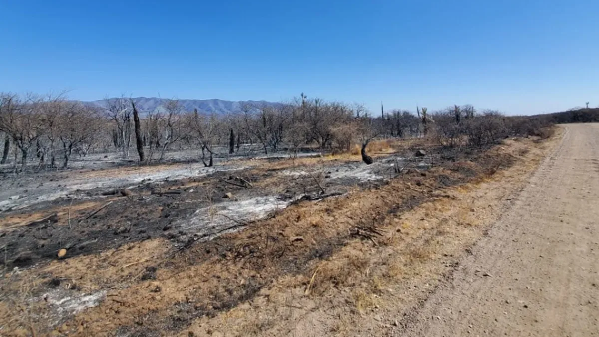 El incendio en La Calera está contenido, con perímetros inestables