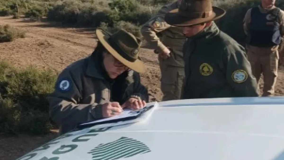 Doce personas detenidas por caza ilegal de ñandúes en el Parque Nacional Ansenuza