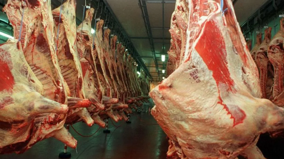 El consumo de carne cayó un 11,7% interanual en julio
