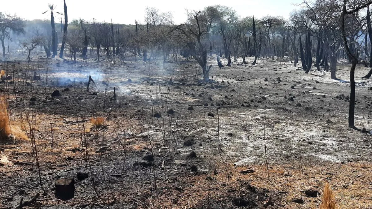 Bomberos controlaron cuatro incendios en el norte provincial