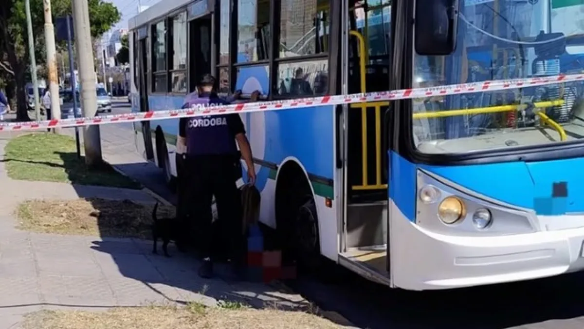 Una mujer fue atropellada por un colectivo y le amputaron un brazo