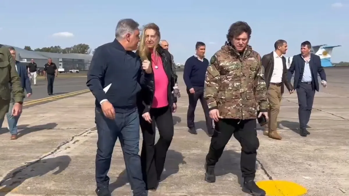 Milei sobrevoló la zona de los incendios y no bajó a tierra