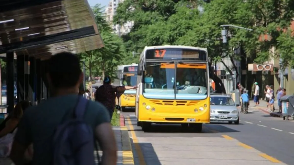 Día de San Jerónimo: cronograma de servicios