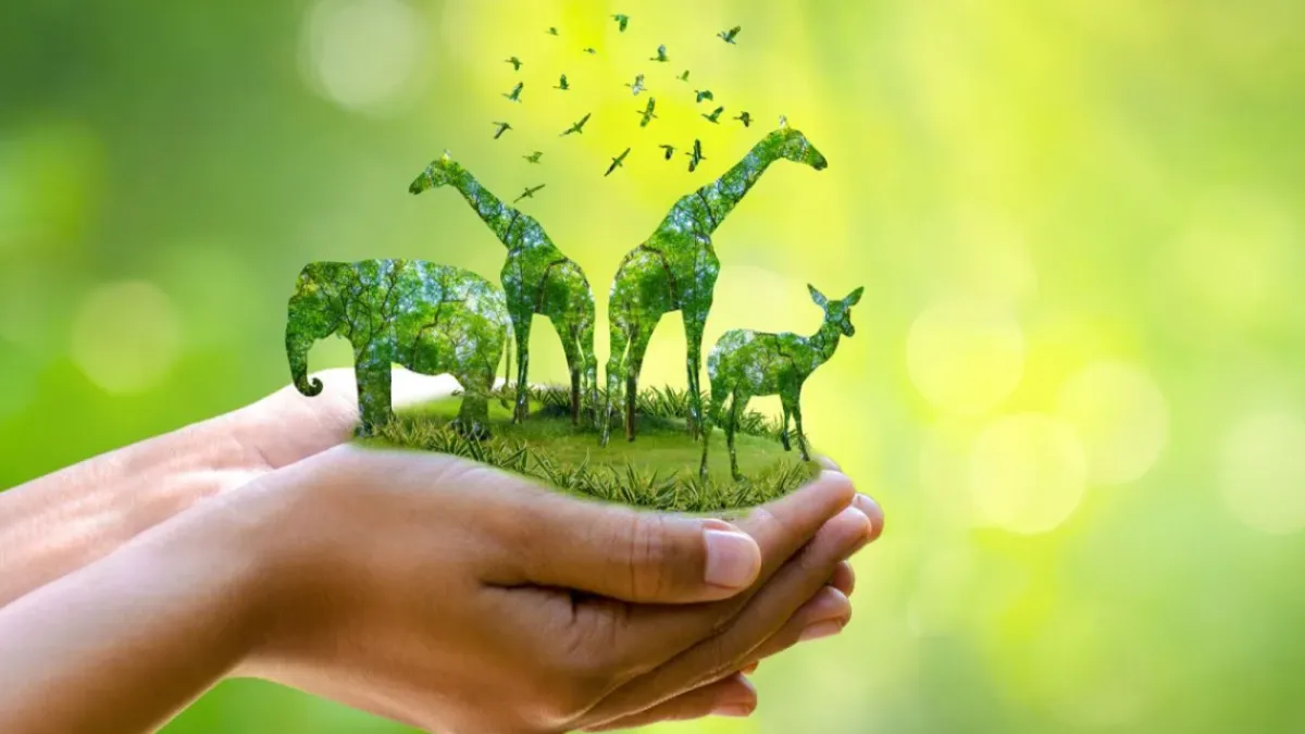 Día Mundial de los Animales: por qué se conmemora hoy