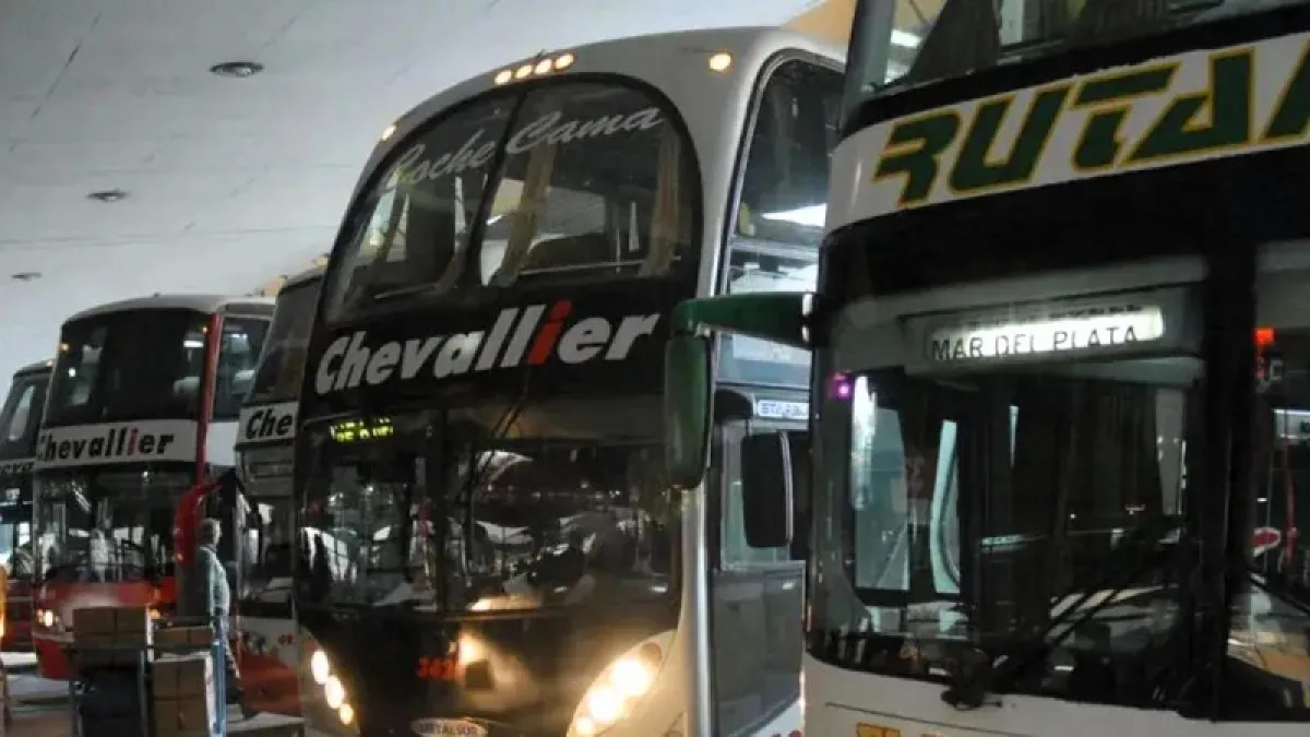 El Gobierno desreguló el transporte automotor de media y larga distancia