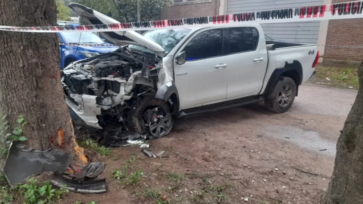 Intentaban robar una casa, le dispararon a un policía y chocaron contra un árbol en la fuga