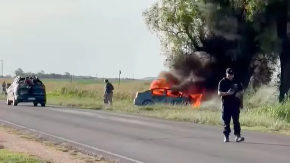 Un hombre mató a su pareja y luego se estrelló con el auto