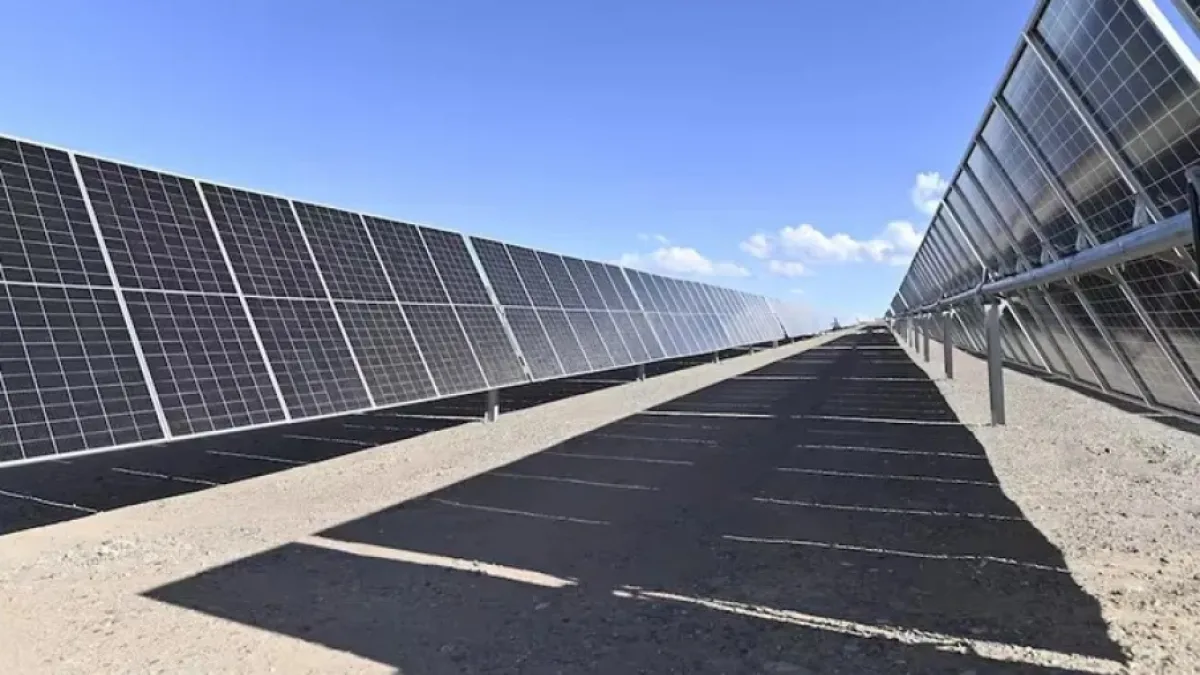 El Gobierno aprobó el primer proyecto de RIGI para crear un parque solar