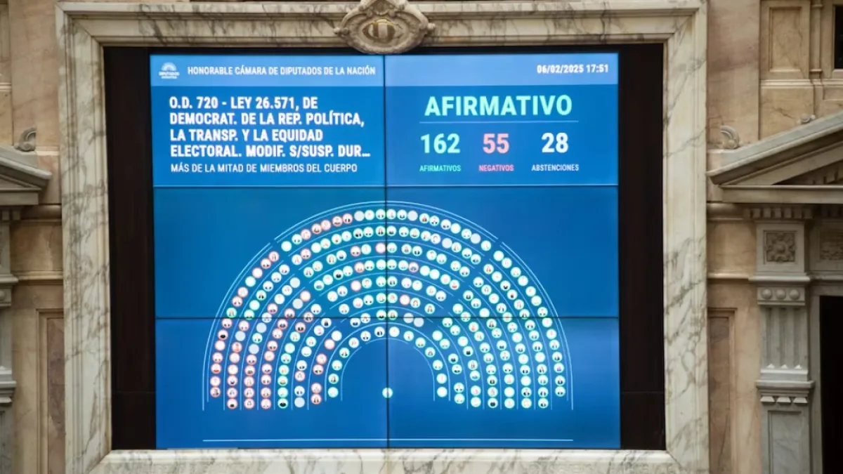 Diputados dio media sanción a la suspensión de las Paso para 2025