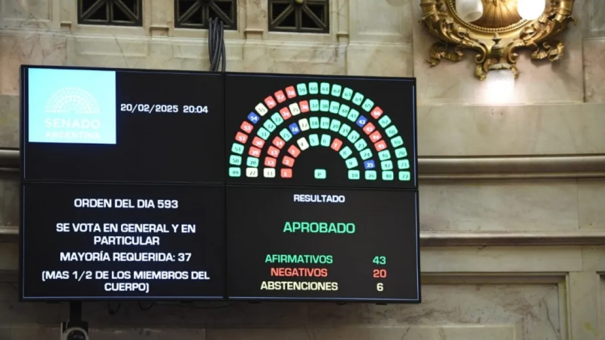 El Senado convirtió en ley la suspensión de las PASO