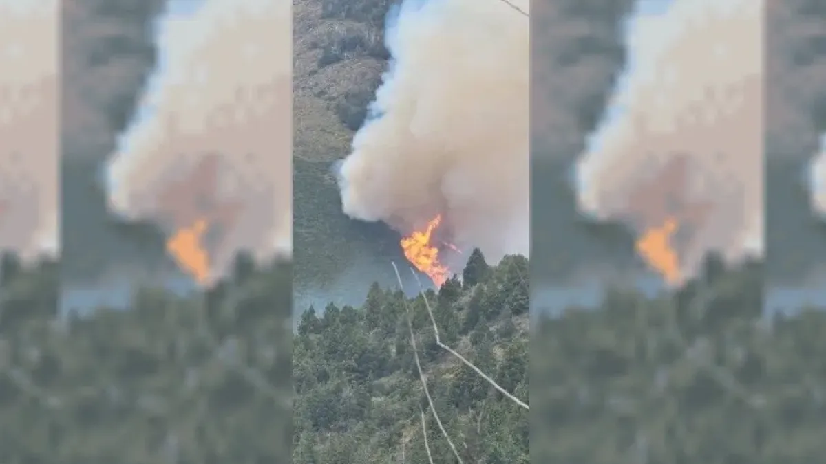 Un hombre admitió haber iniciado el incendio en el cerro Meta