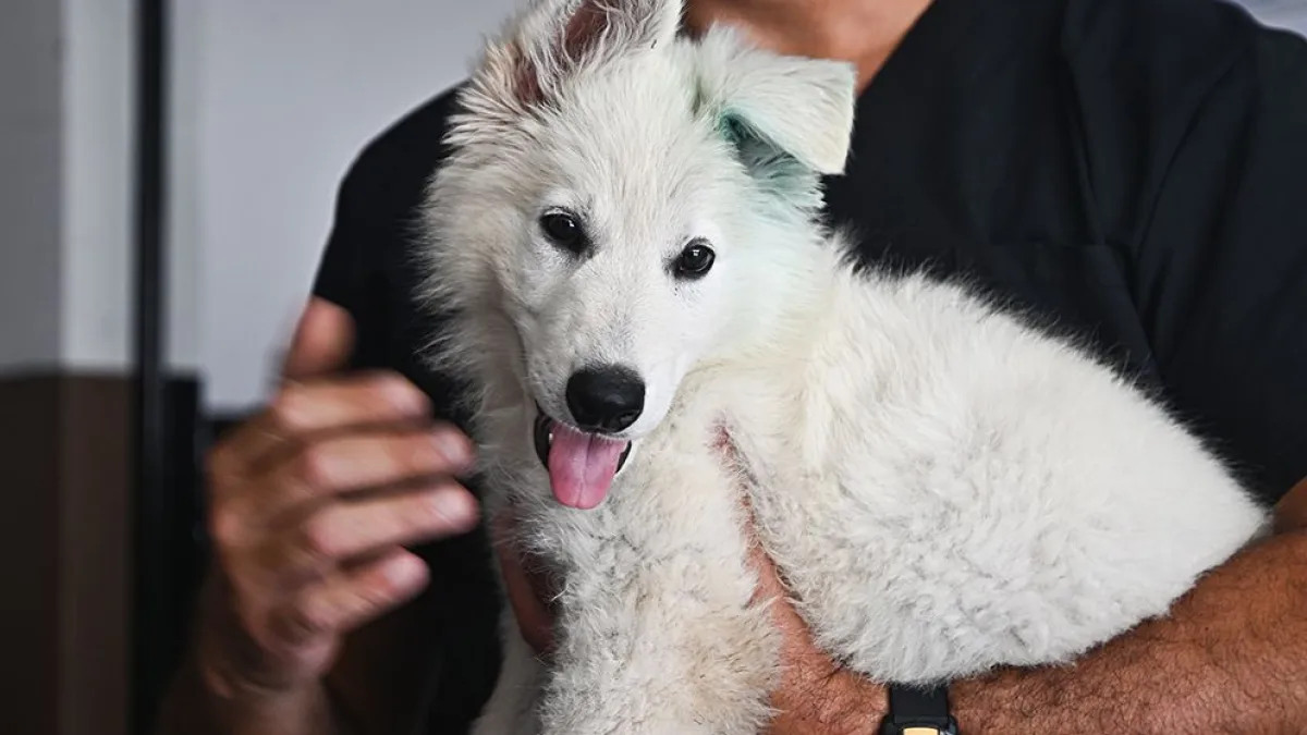 La FPA recibió un nuevo integrante para la División K-9