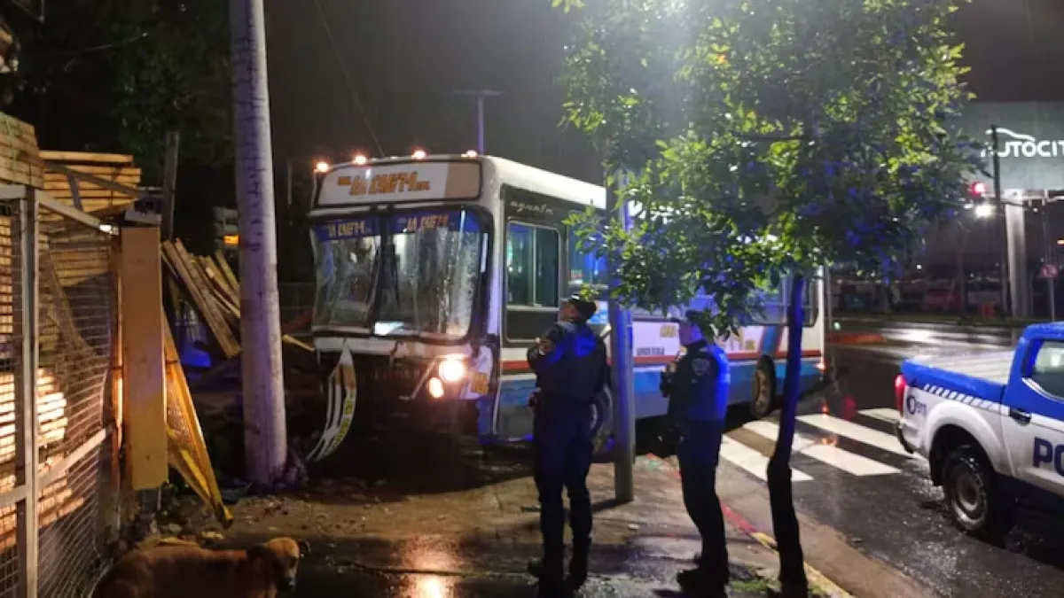 Siniestro vial: un colectivo perdió el control y se incrustó en una maderera