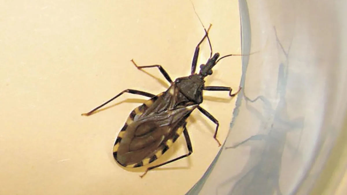 Día Mundial de la Lucha contra el Chagas