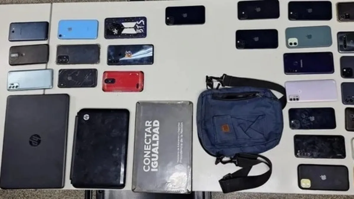 Desarticularon una banda que robaba celulares en recitales