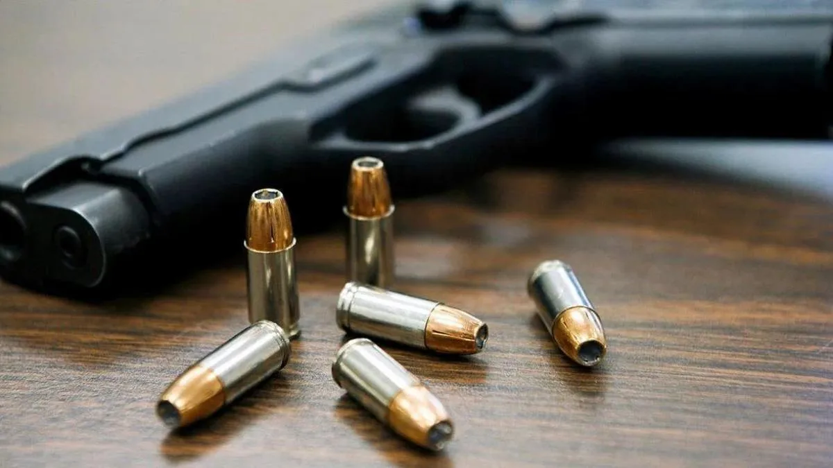 ANMaC oficializó "Tenencia Express" para obtener armas más rápido