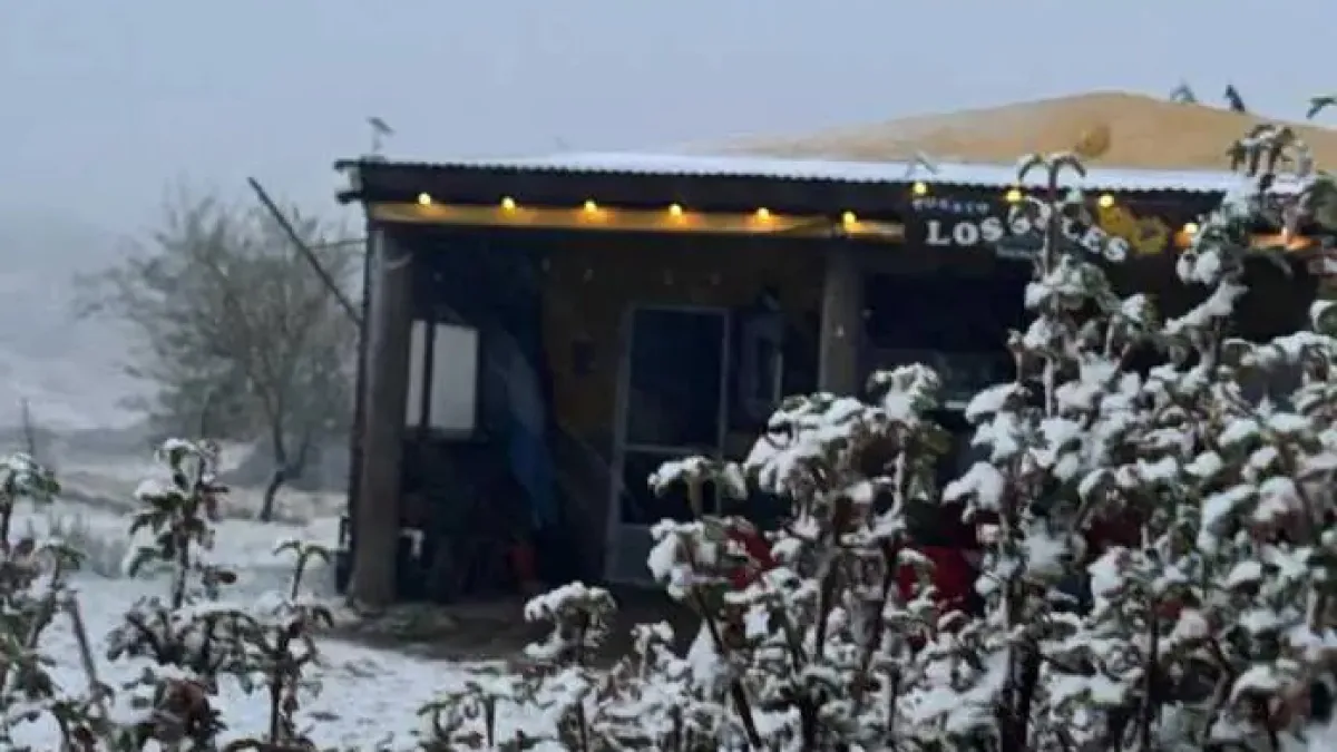 Llegó la ola de frío y nevó en las Altas Cumbres