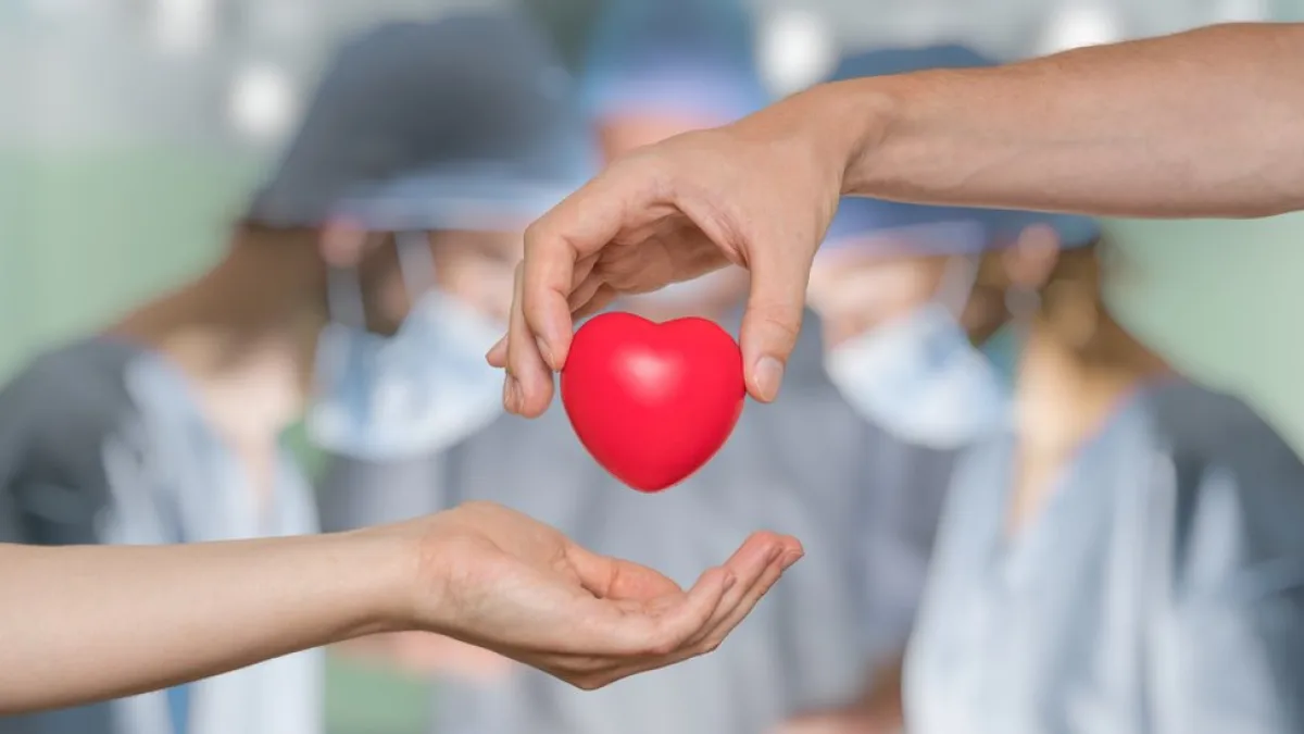 Día Nacional de la Donación de Órganos y Tejidos: ¿por qué se conmemora hoy?
