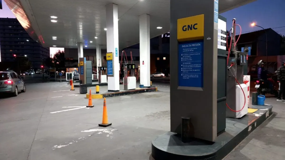El Gobierno suspendió el suministro de gas en industrias y estaciones de GNC