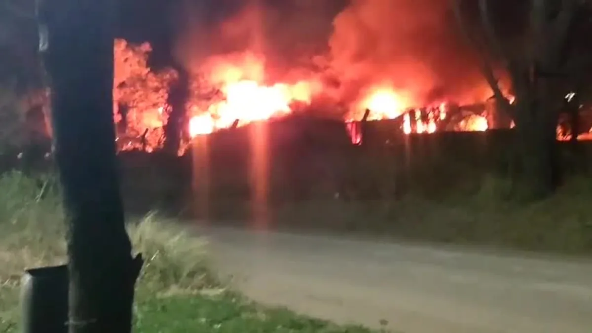 Contuvieron el incendio en el aserradero y habilitaron el tránsito en la Ruta 5