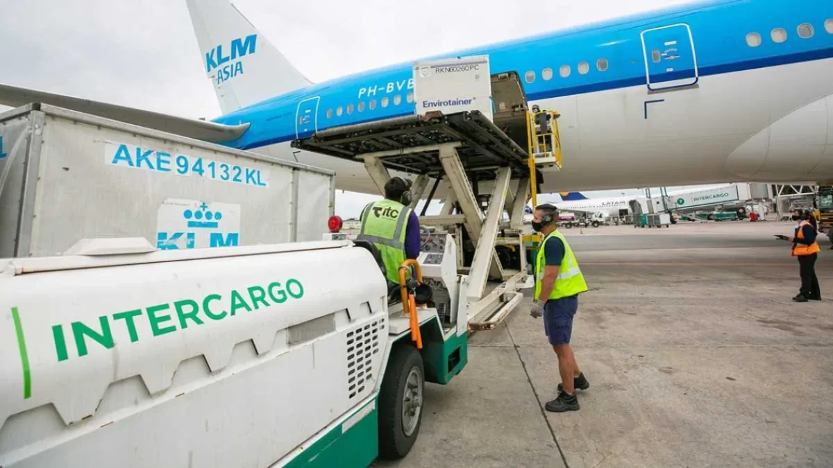 El Gobierno avanza con la privatización de Intercargo