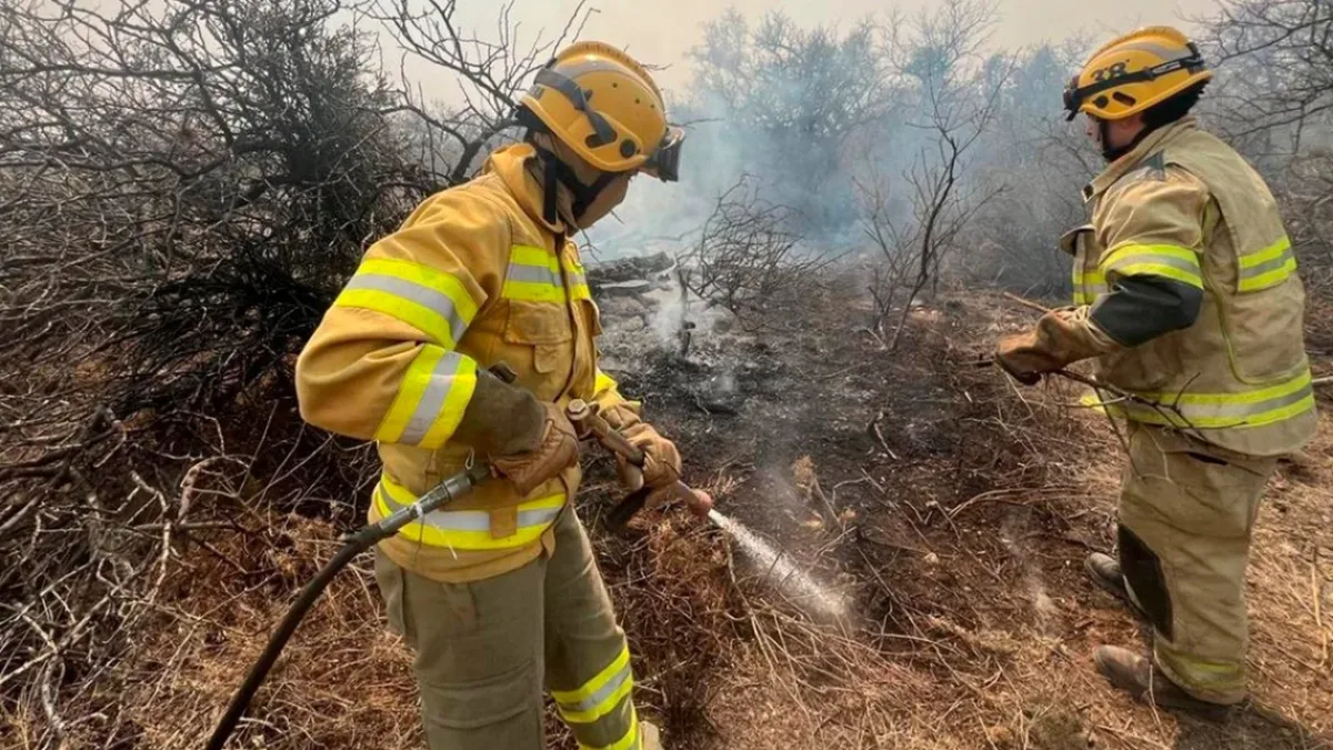 Detuvieron a un hombre por iniciar fuego en pastizales