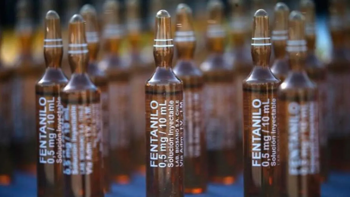 La OMS emitió un alerta por fentanilo contaminado en la Argentina