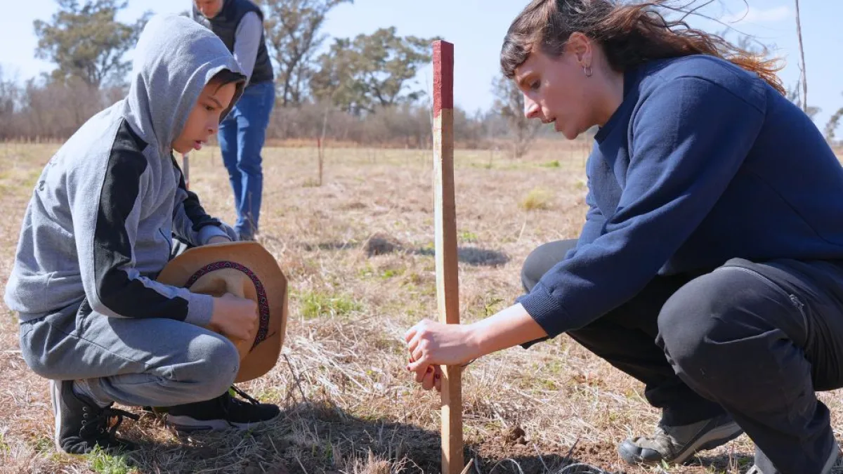 Campaña de forestación: crecerán 100 mil árboles nativos en Córdoba