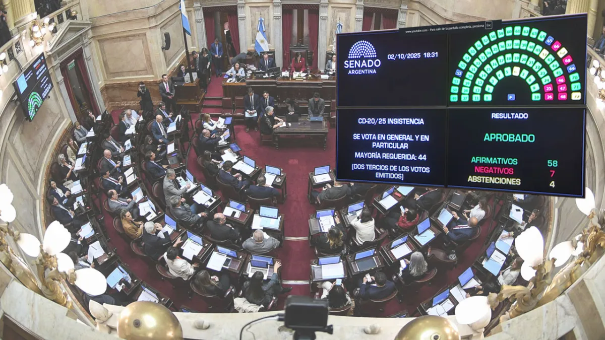El Senado rechazó los vetos de Milei y convirtió en ley la emergencia pediátrica y el financiamiento universitario