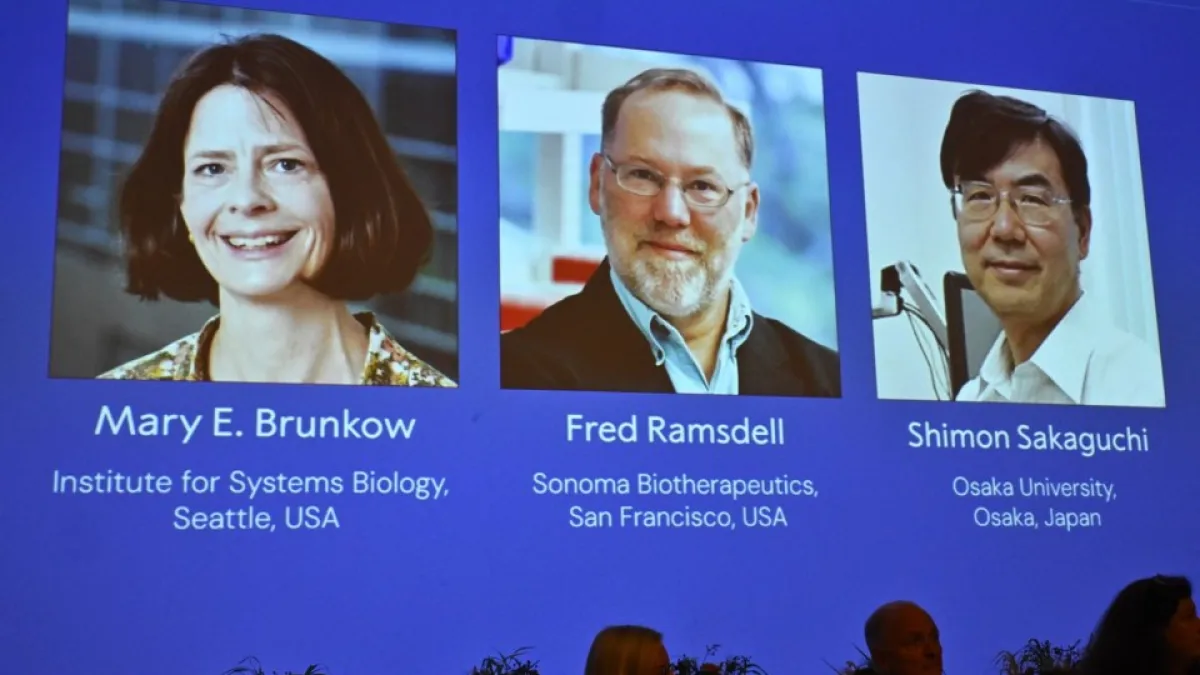 Nobel de Medicina para tres científicos por sus investigaciones en inmunología