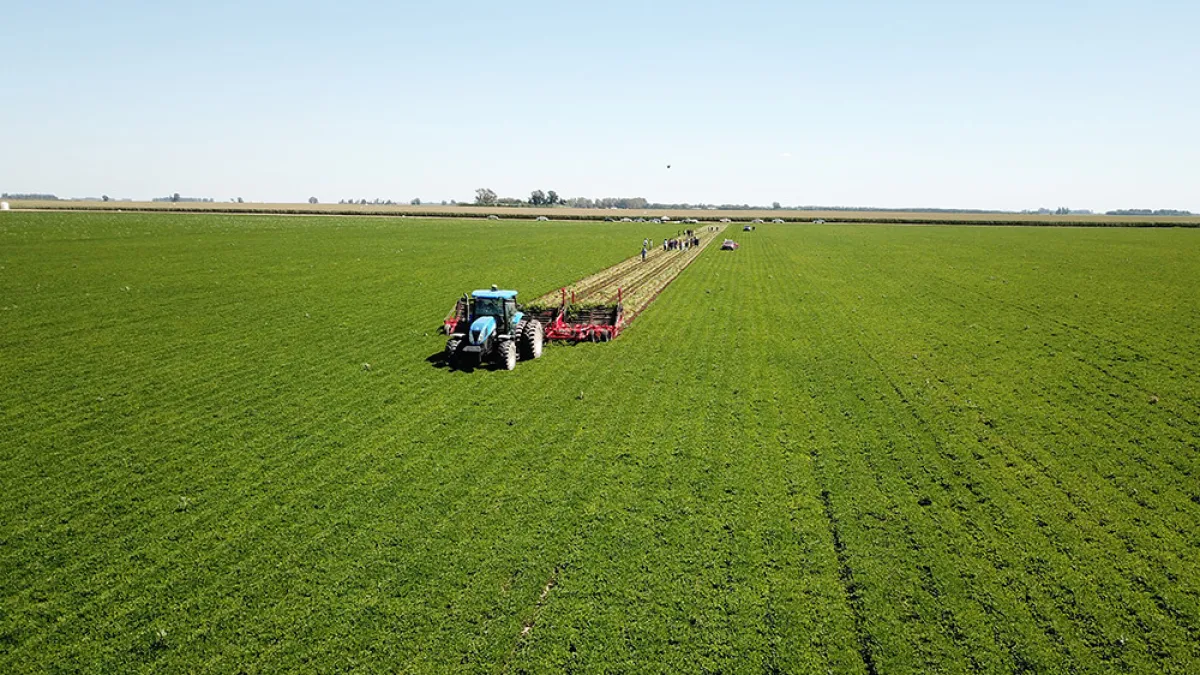 Récord histórico de producción y exportaciones de maní argentino