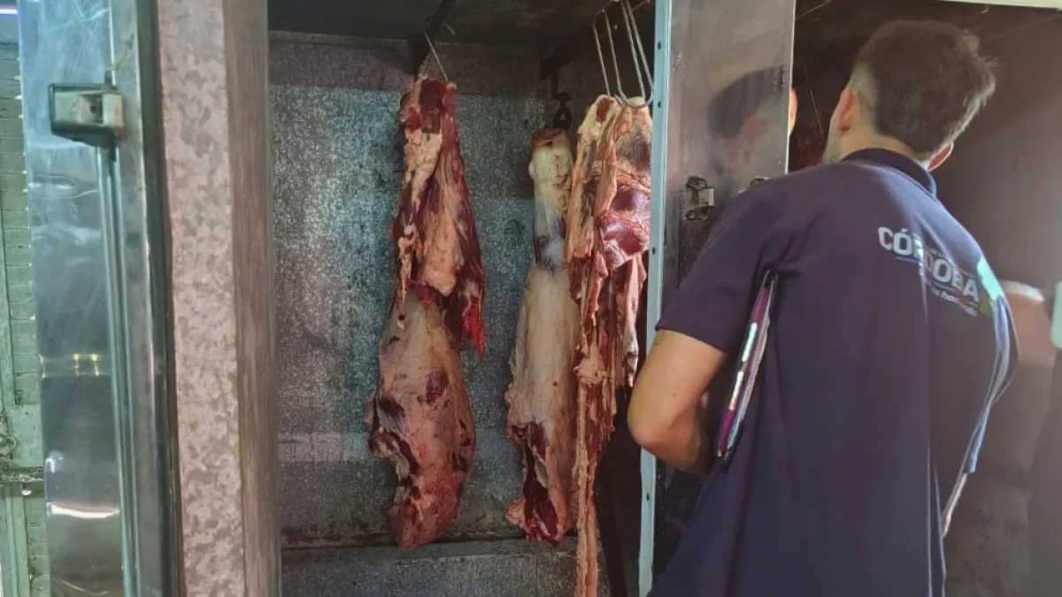 Decomisaron carne porcina por faenamiento ilegal en el departamento Unión