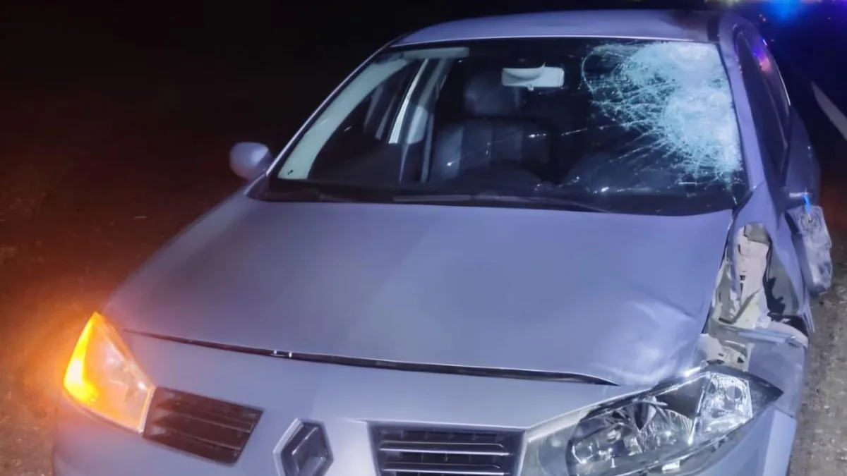 Un peatón murió tras ser embestido en la Autovía Punilla