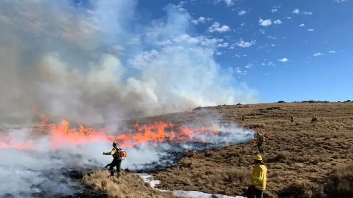 Riesgo extremo por incendios forestales en diez provincias
