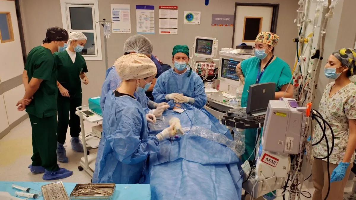 Realizaron la primera ablación por microondas de tiroides en el Hospital San Roque