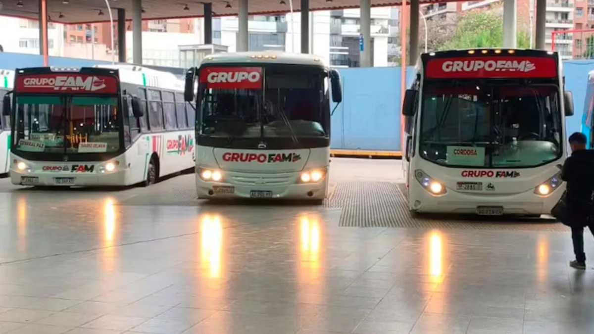 Transporte interurbano: un paro de choferes paraliza el servicio de FAM