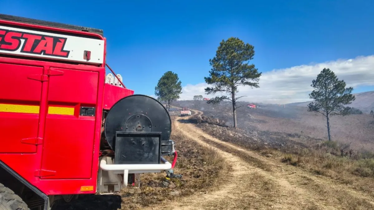 Amplio operativo para combatir un incendio forestal en Yacanto