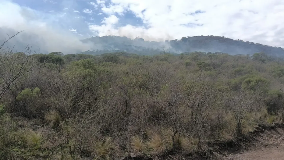 Incendio forestal en La Calera: bomberos y aviones hidrantes combaten el fuego