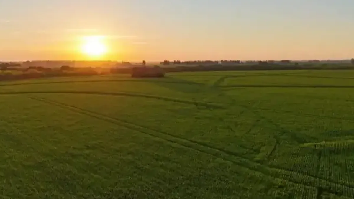 El Gobierno restituye la Ley de Tierras tras haberla derogado hace tres años