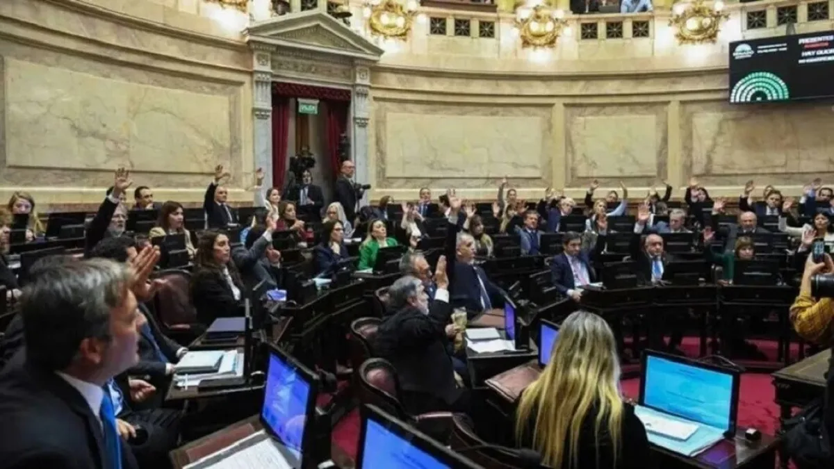 El Senado aprobó la reforma de la Ley de Salud Mental: qué cambia