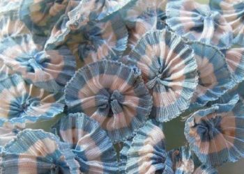 Día de la Escarapela: por qué se celebra este 18 de mayo