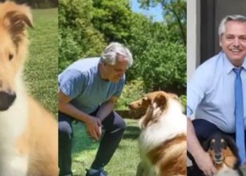 Dylan, el perro de Alberto Fernández, cumplió años y el presidente lo celebró por las redes sociales