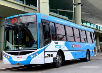 El municipio busca reinstalar el transporte urbano diferencial