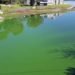 Colocan camalotes en el lago San Roque para evitar la reproducción de cianobacterias