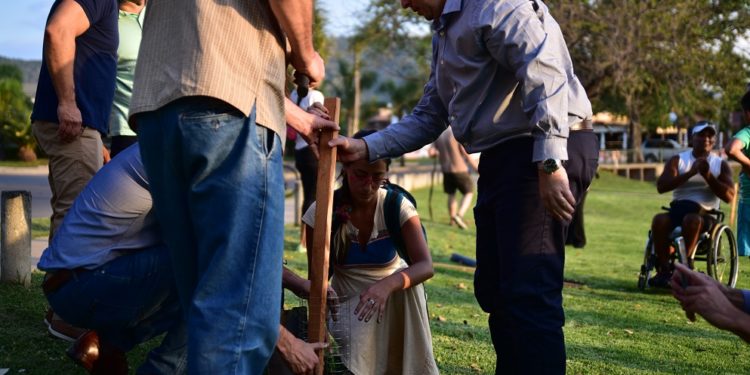 Forestan la costanera del Lago San Roque con especies nativas
