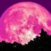 Esta noche se podrá observar la "superluna rosa"