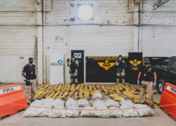 La FPA trasladó una gran cantidad de estupefacientes al Juzgado Federal N° 1