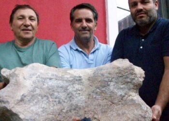 Hallaron restos fósiles de un perezoso gigante de 700.000 años de antigüedad